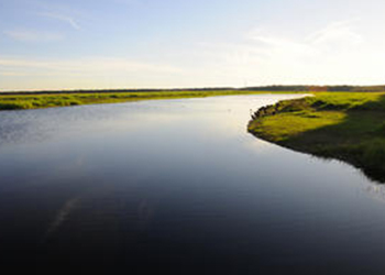 Myakka State Park in Sarasota, Florida with RVA