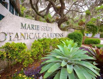 Marie Selby Botanical Gardens in Sarasota, Florida