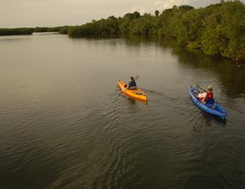 Myakka River State Park in Sarasota, Florida