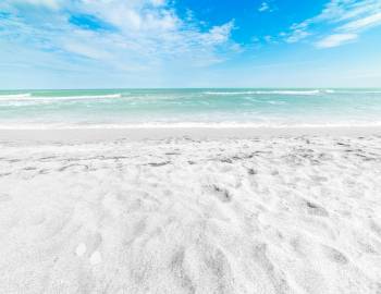 White-sand beach with turquoise ocean water in background