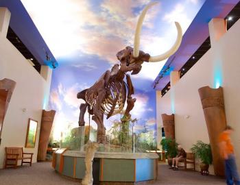 The Bishop Museum of Science and Nature in Sarasota, Florida