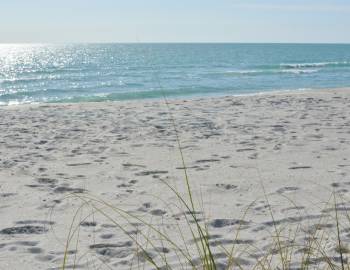 White-sand beach with ocean in background