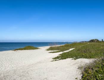 Natural beach and sand dunes with ocean in background