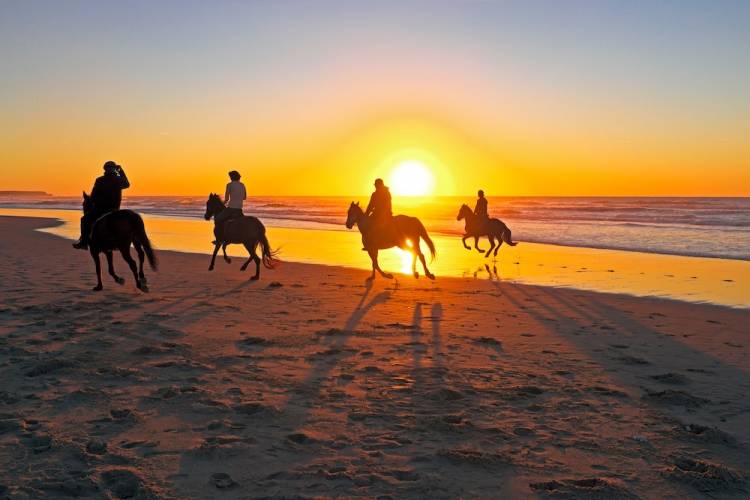 Four people on horseback on a beach at sunset