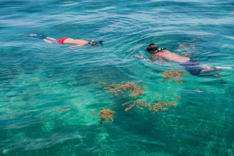 Two swimmers snorkeling over a coral reef