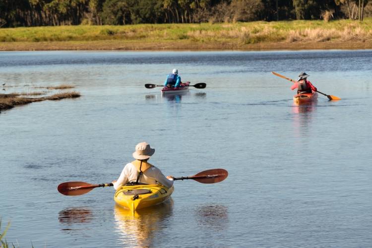 Three kayakers in the Myakka River