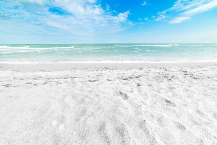 White-sand beach with turquoise ocean water in background