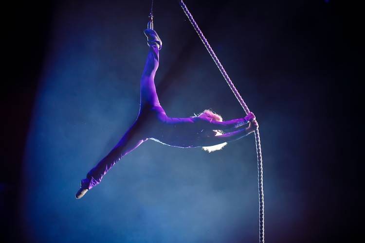 Circus performer swinging from a rope