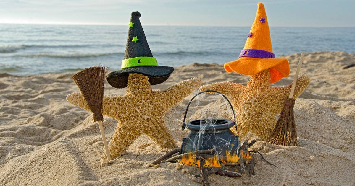 Witches Witches