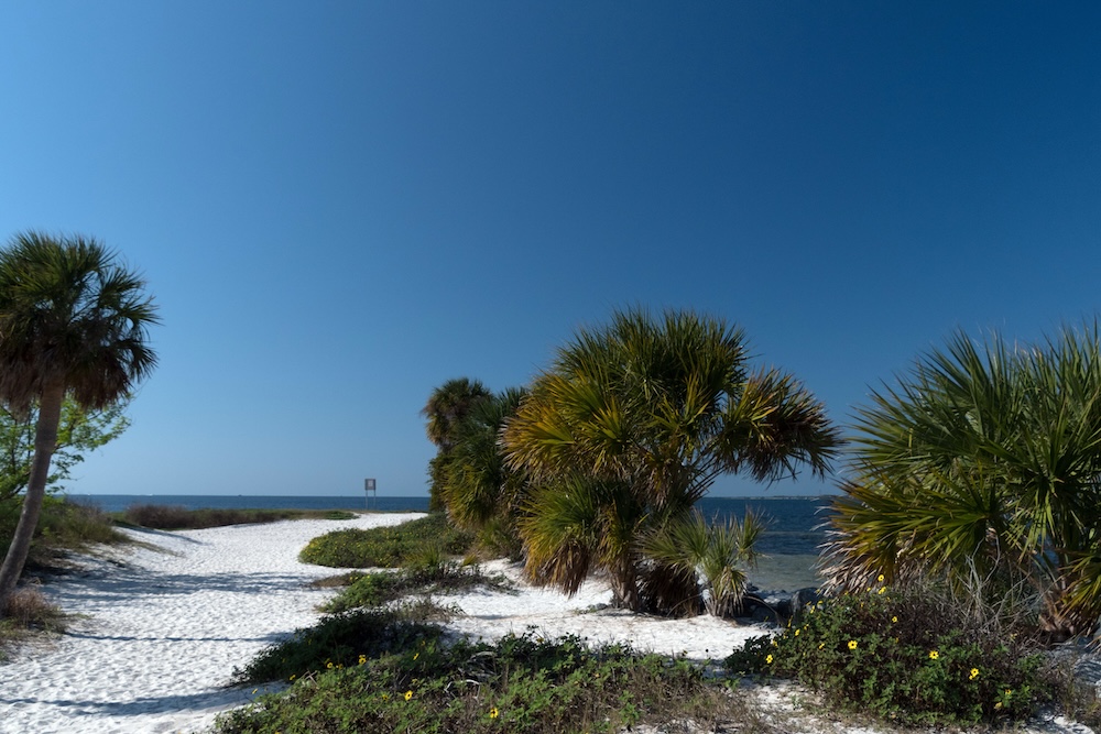Palm trees and white sand along a waterfront trail at Bean Point Beach