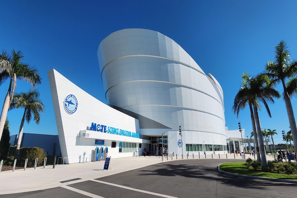 MOTE Aquarium Sarasota 