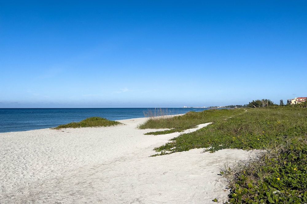 Natural beach and sand dunes with ocean in background